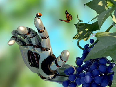 The mechanical arm and a butterfly.
