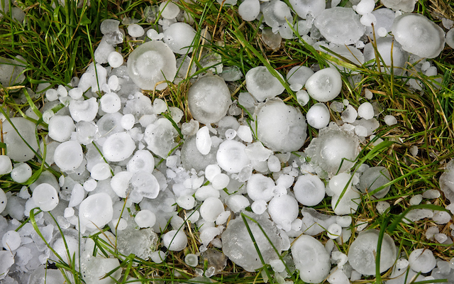 Great balls of hail on the green grass
